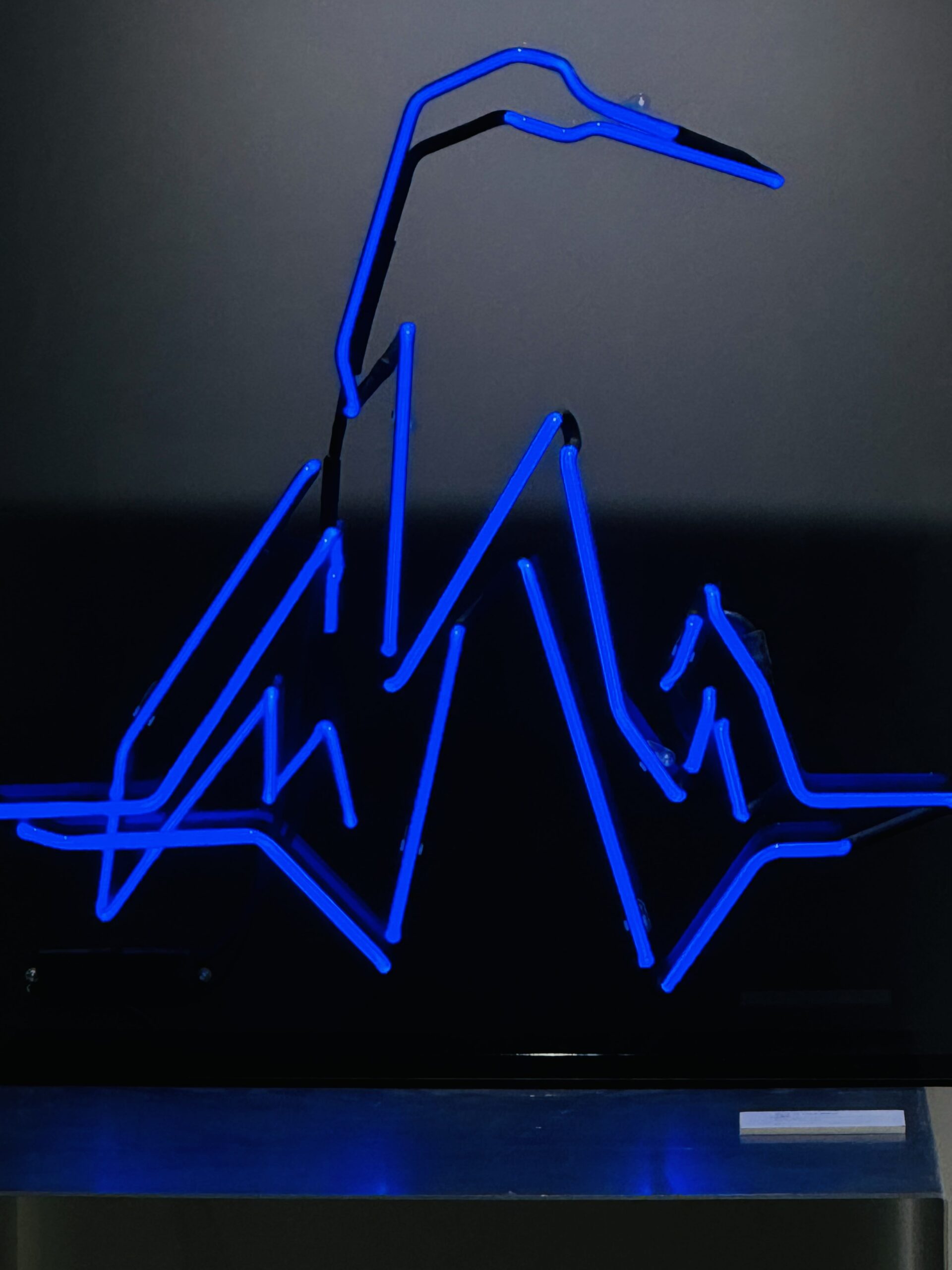 Blue Bird in Lake Bikal